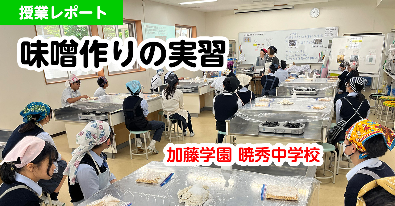 味噌作り実習　授業レポート（加藤学園暁秀中学校）
